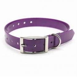 collier fluo tpu us biothane 25 mm pour chien violet