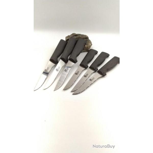 PRADEL EXCELLENCE THIERS LOT 6 COUTEAUX COTES A L'OS MICRODENTES MANCHE POLYPRO n