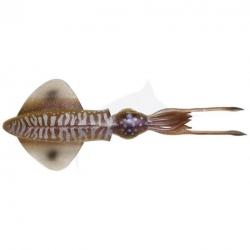 Savage Gear 3D LB Swim Squid 9.5cm Cuttlefish
