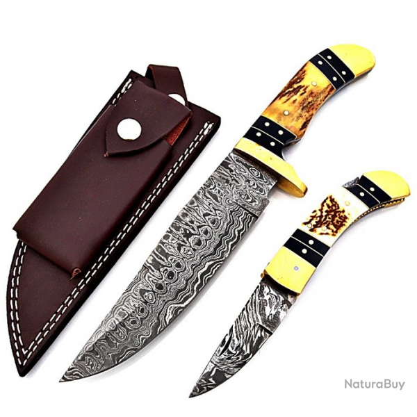 Bel ensemble de deux couteaux Damas de fabrication artisanale