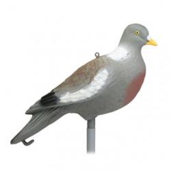 Appelant Stepland Pigeon sans patte - 12