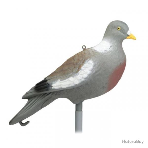 Appelant Stepland Pigeon sans patte - 1