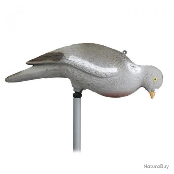 Appelant Stepland Pigeon picoreur sans patte - 1