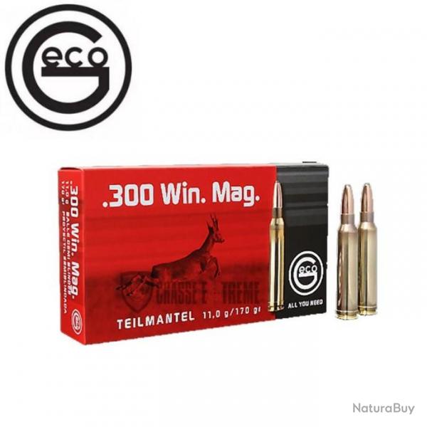 20 Munitions GECO Demi Blinde cal 300 WM 170gr TM