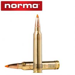 20 Munitions NORMA Cal 300 Wsm 170gr Tipstrike