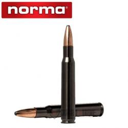 20 Munitions NORMA Cal 30-06-180gr Oryx Silencer