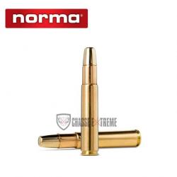 10 Munitions NORMA Solide Cal 505 Gibbs 540gr