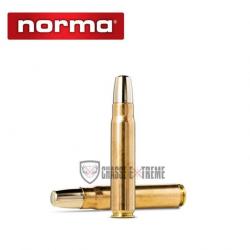 10 Munitions NORMA Solide Cal 500 Jeffrey 540gr