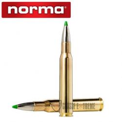 20 Munitions NORMA Cal 30-06-150 Gr Ecostrike
