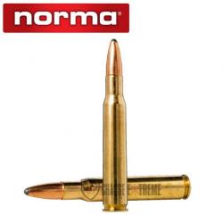 20 Munitions NORMA Cal 30-06-165gr Oryx