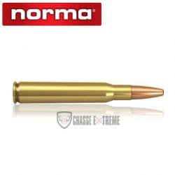 20 Munitions NORMA Cal 30-06-180gr Oryx