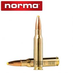 20 Munitions NORMA Cal 308 Win-180gr Point Plastique