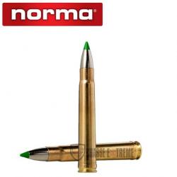 20 Munitions NORMA Cal 375 H&H Mag -250gr Ecostrike