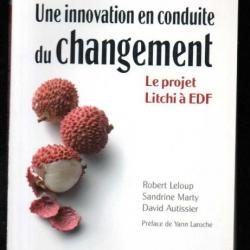 une innovation en conduite du changement le projet litchi à edf leloup-marty-autissier