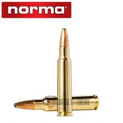 20 Munitions NORMA Cal 7.5x55 180gr Oryx