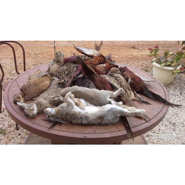 Chasse privee au petit gibier devant soi dans le 66