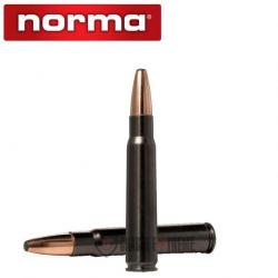 20 Munitions NORMA Cal 9.3x62 285gr Oryx Silencer
