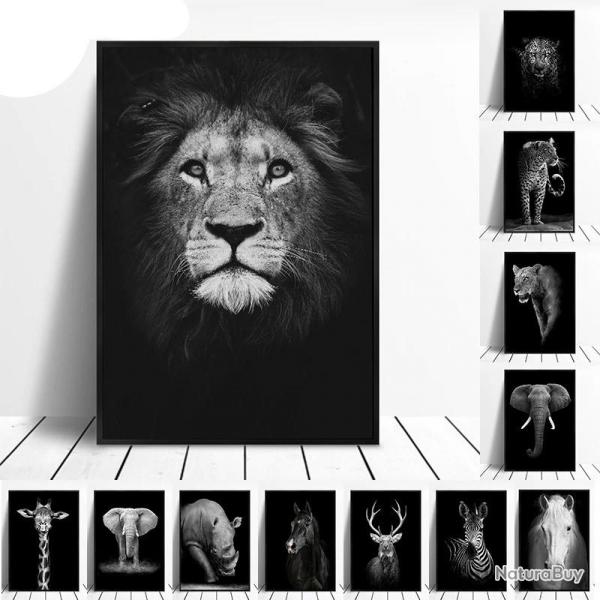 Tableau Peinture Impression sur Toile Animaux, Modele: 3, Taille: 60x90cm