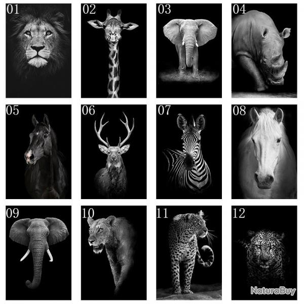 Tableau Peinture Impression sur Toile Animaux, Modele: 6, Taille: 60x90cm