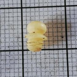 grain d'orge plastique couleur ivoire (164)