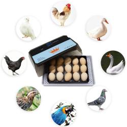 Incubateur Couveuse Automatique Pro, Modele: 15 oeufs