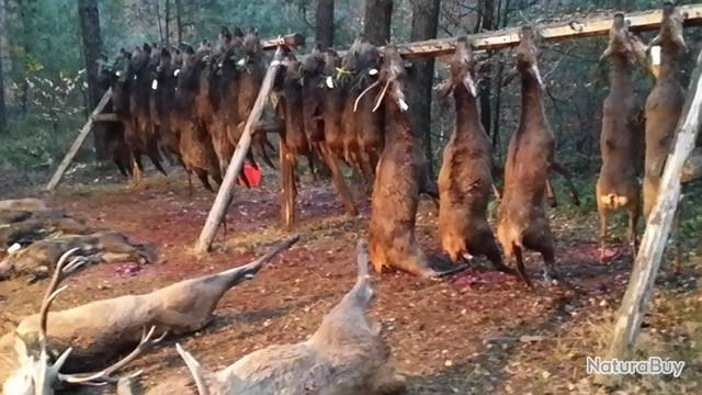 Action De Chasse Disponible 2022 2023 72