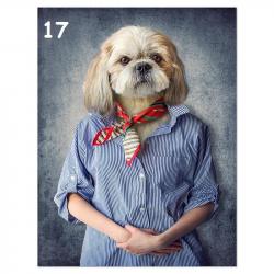 Tableau Peinture Impression sur Toile Animal Abstrait, Modele: 17, Taille: 60x90cm