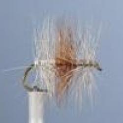 MOUCHE TRICOLORE CLAIRE H14