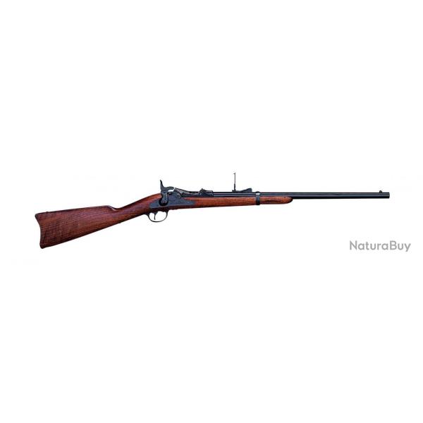 Carabine Springfield Trapdoor cal. .45/70