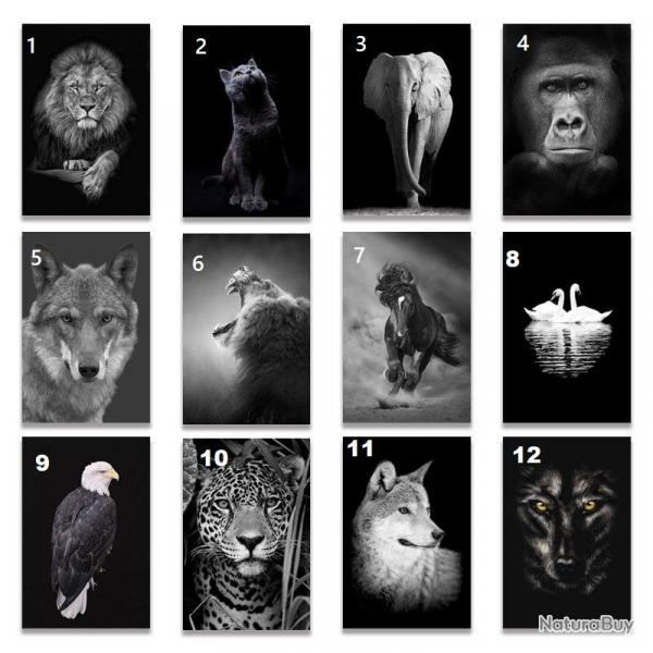 Peinture Impression HD sur Toile Animaux, Modele: 7, Taille: 60x90cm