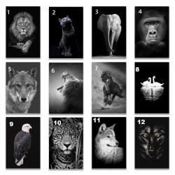 Peinture Impression HD sur Toile Animaux, Modele: 10, Taille: 60x90cm