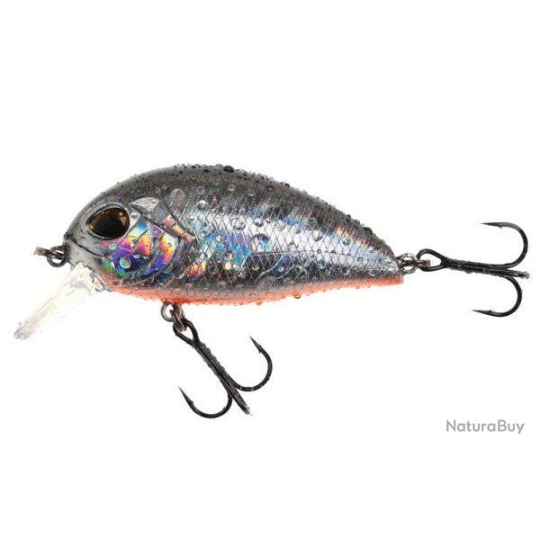 PURE XL 55F SR 122 NPC