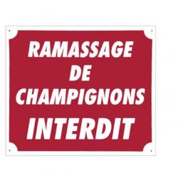 Panneau ''Ramassage de champignons interdit'' 30 x 25 cm. Akilux
