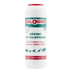 Plumaison : Résine de Colophane