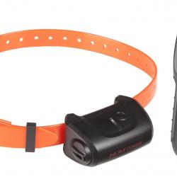 Kit Collier Education Num'Axes Canicom 5.202 Deux Chiens