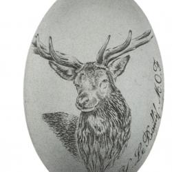 Calottes cerf aspect argent