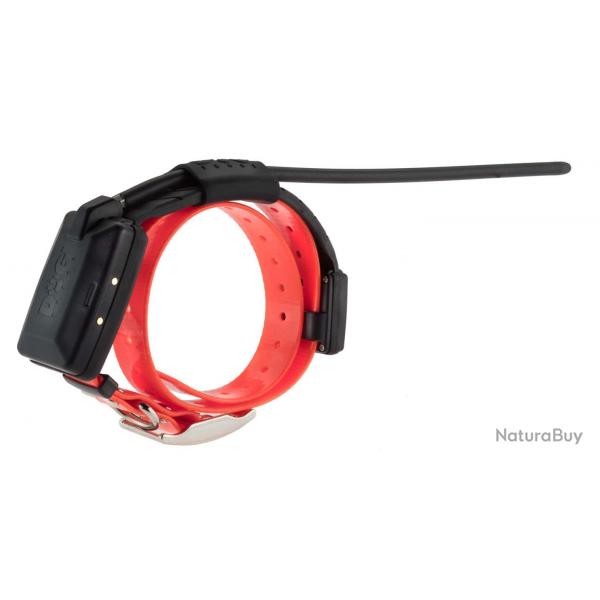 Collier supplmentaire DOGTRACE X20 noir