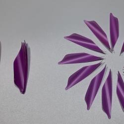 Lot de 50 plumes Xs Wings Vanes 50mm Gaucher Fluo Violet