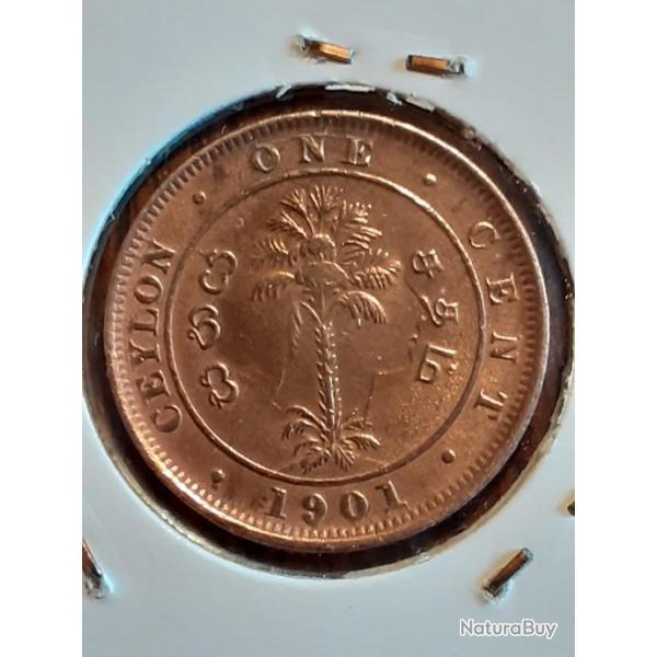 Ceylon . 1 cent  1901 en ttb