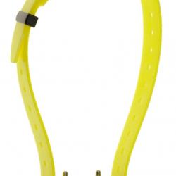 Collier d'éducation Canicom seul