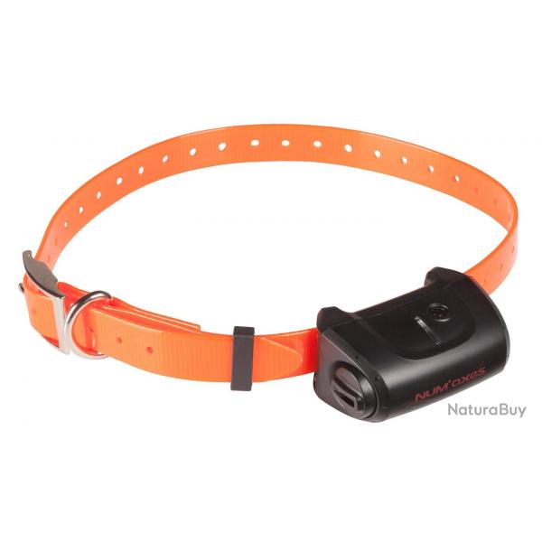 Collier seul Canicom 5 Orange