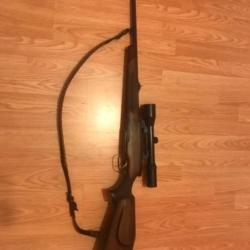 Carabine steyr malinncher