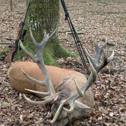 CERFS a l'approche en Térritoire OUVERT