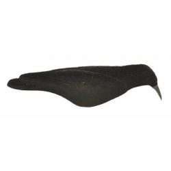 Coquille de corbeau floquée