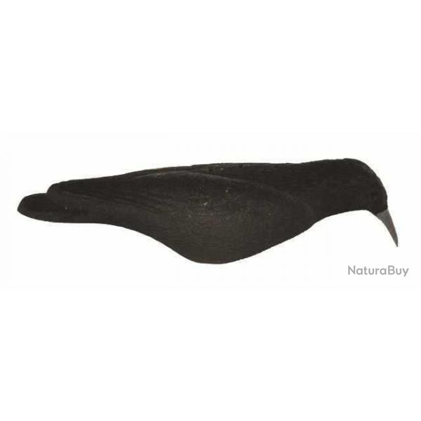Coquille de corbeau floque