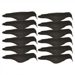 Coquille de corbeau floquée x12