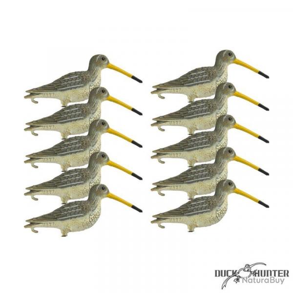 Forme de bcassine x10