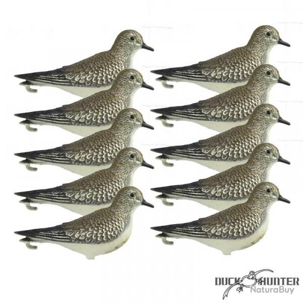 Forme de pluvier x10