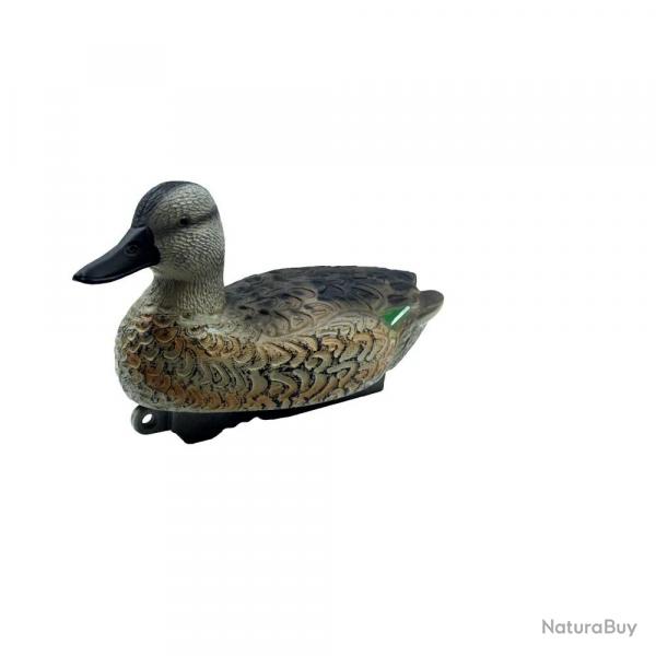 Appelant Sarcelle d'hiver femelle HD 30 x 17cm à l'unité