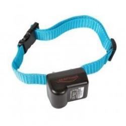 NUM'AXES Sangle nylon canicalm first- Largeur 20 mm - Longueur 64 cm